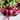 Three fresh red beets with roots and leaves.