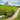 A New Zealand farm with a pond, green grass, and a dirt road going up the side. A farmer is driving away from us on a four-wheeler in a blue shirt.